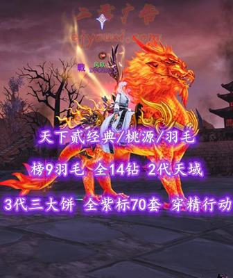 【天下贰经典/桃源/羽毛（重击）】榜9羽毛！全14钻！2代天域&3代三大饼+全紫标70套！穿精+行动防护！三系高级马！开阳+业火外观——凤玖丶
