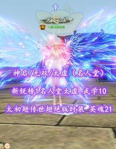 【神启/无双/太虚（名人堂）】新锐榜1名人堂太虚！太初翅+传世翅+绝版时装！武学10+英魂21！梦中情号——乀恶毒白皇后