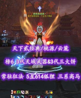 【天下贰经典/桃源/云麓（重击）】榜6！74级！3代天域武器&3代三大饼！常驻狂法！5星614狐狸！三系高级马——桃桃桃桃桃丶