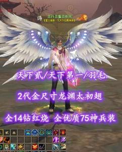 【天下贰/天下第一/羽毛（小攻重）】全14钻红烧！2代金尺寸龙渊太初翅！全优质75神兵装——且行且看且听风