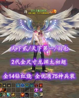 【天下贰/天下第一/羽毛（小攻重）】全14钻红烧！2代金尺寸龙渊太初翅！全优质75神兵装——且行且看且听风