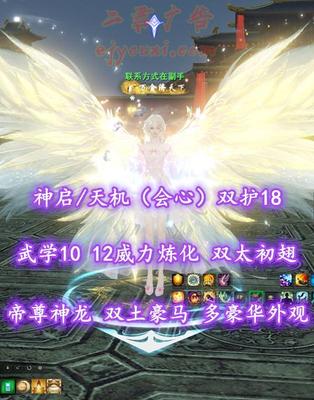 【神启/天机（会心）】双护18！孩子武学10！12威力炼化！双太初翅！帝尊神龙+双土豪马、神临时装等豪华外观——联系方式在副手