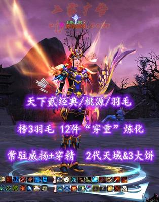 【天下贰经典/桃源/羽毛】榜3羽毛！穿重破千！12件“穿重”炼化！常驻“威扬+穿精”特技！2代天域&3大饼！战场套全“人祸/知彼”激活——且听風吟丶