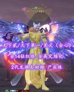 【天下贰/天下第一/荒火（会心）】全14钻红烧！全高究炼化！2代龙渊太初翅！尸兵珠——灬荒灬