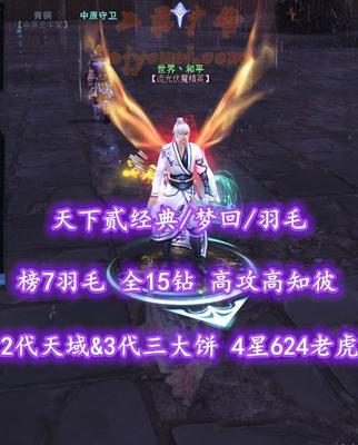 【天下贰经典/梦回/羽毛（重击）】榜7羽毛！74级！全15钻！高攻高知彼！2代天域&3代三大饼！4星624老虎！3系全80满级马！“业火+开阳+青花”等豪华外观——世界丶和平