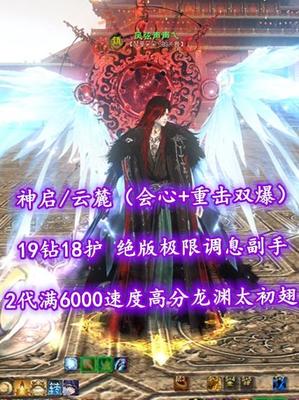 【神启/云麓（会心+重击双爆）】19钻18护！绝版“极限调息”副手！孩武学10！会心/重击双爆！2代满6000速度高分“龙渊”太初翅+多套神临时装等外观——凤弦声声乀