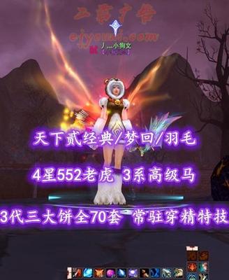 【天下贰经典/梦回/羽毛（重击）】75级！3代三大饼+全70套！常驻穿精特技！4星552老虎！3系高级马！“开阳时装+伞坐骑”外观！——丿灬小狗文