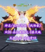 【神启/无双/念医（战场套）】双20！3套天魄！龙渊太初！孩武学10——乀青叶丶