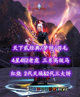 【天下贰经典/梦回/羽毛】红烧！2代天域&2代三大饼！三大珠子！三系高级马——路遥