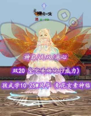 【神启/无双/冰心】双20+全完美炼化(7威力)+孩武学10！25W风华+青花玄素神临！——沈丶半仙