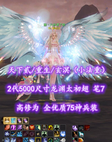 【天下贰/重生/玄溟（小法重）】2代5000尺寸龙渊太初翅！笔7！高修为！全优质75神兵装——擦丶无所谓了呗