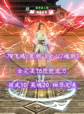 【79飞鸿/奕剑（会心/魂剑）】全完美16技能威力+孩武10+英魂20！细节完美！——富贵迷人眼