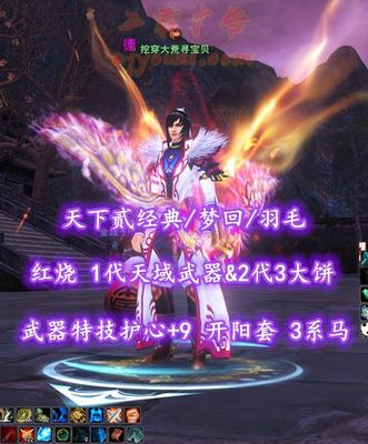 【天下贰经典/梦回/羽毛】红烧！1代天域武器&2代3大饼！武器特技“护心+9”！开阳套！3系马全齐——挖穿大荒寻宝贝