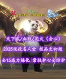 【天下贰/血战/荒火（会心）】2025现役名人堂！全15威力炼化！极品太初翅！常驻护心全防护！觉醒全10！梦中情HH——丶开伈灬