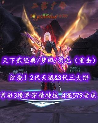 【天下贰经典/梦回/羽毛（重击）】73级！红烧！2代天域&3代三大饼！常驻3境界“穿精”特技！4星579老虎！江湖“伺机篇”已领悟——探花丷