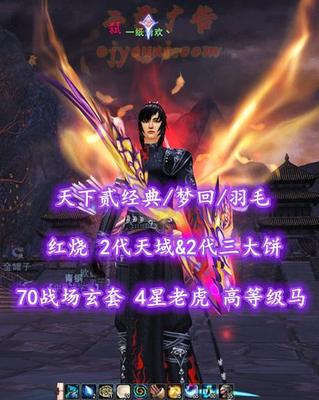 【天下贰经典/梦回/羽毛】红烧！2代天域&2代三大饼+70战场玄套！4星老虎！高等级马——一纸清欢丶