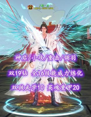 【神启/小攻/重击/翎羽】双19钻！全16技能威力炼化！双孩武学10！英魂重甲20——丿點丶杀