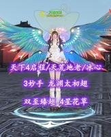 【天下4启程/天荒地老/冰心（念医）】3妙手！龙渊太初翅！双至臻翅！4星花草——月朗星稀