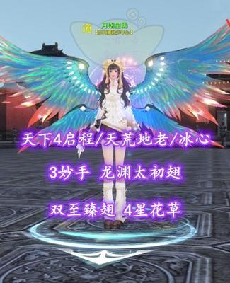 【天下4启程/天荒地老/冰心（念医）】3妙手！龙渊太初翅！双至臻翅！4星花草——月朗星稀
