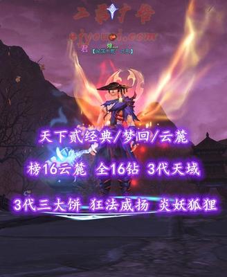 【天下贰经典/梦回/云麓（重击）】榜16云麓！73级！全16钻！3代天域&3代三大饼！常驻狂法+威扬！炎妖+狐狸双珠！冰龙+火麒麟坐骑——煌灬