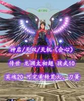 【神启/无双/天机（会心）】传世+龙渊太初翅！孩武10！英魂20！可完美转荒火、刀簧——常丨开心