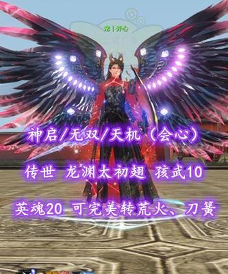 【神启/无双/天机（会心）】传世+龙渊太初翅！孩武10！英魂20！可完美转荒火、刀簧——常丨开心