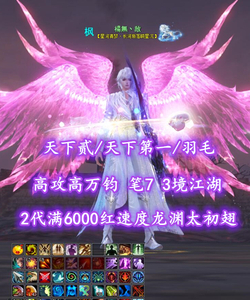 【天下贰/天下第一/羽毛（大攻重）】2代满6000红速度龙渊太初翅！高攻高万钧！笔7！3境江湖——楊無丶敌