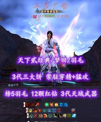 【天下贰经典/梦回/羽毛（重击）】榜5羽毛！满75级！12颗红钻！3代天域武器&3代三大饼！常驻穿精+猛攻！5星623老虎！80满级马！“帝宸+业火+开阳”全外观——习惯孤獨