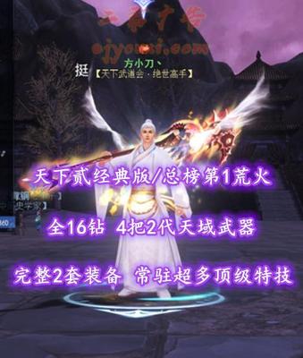 【天下贰经典版/荒火（“重击/会心”两套）】总榜第1！全16钻！4把2代天域武器+完整2套装备！常驻超多顶级特技！全80满级高灵光马！4大珠子——方小刀丶