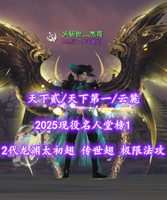【天下贰/天下第一/云麓】2025现役名人堂榜1（特技+副手）！2代龙渊太初翅+传世翅！极限法攻——乄斩世灬杰哥