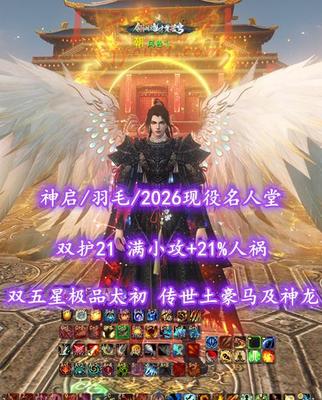 【神启/羽毛（小攻重）】2026现役名人堂！双护21！满小攻+21%人祸——风色乀