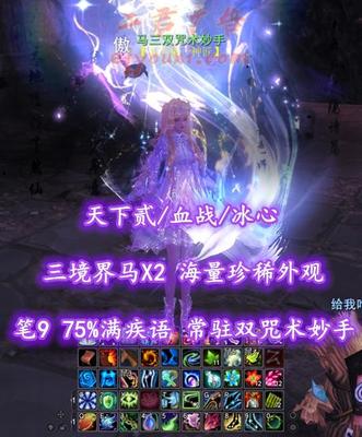 【天下贰/血战/冰心】笔9！75%满疾语！常驻双咒术妙手！三境界马！6江湖(3境界X3)！双合体精进！海量外观！——马三双咒术妙手
