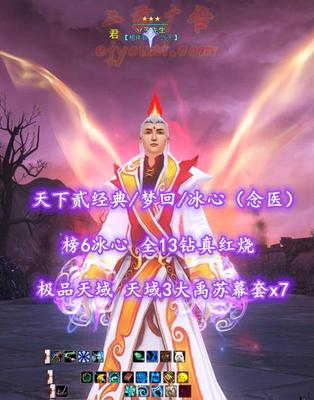 【天下贰经典/梦回/冰心（念医）】榜8冰心！全13钻真红烧！天域+3大禹+全8件苏幕套！极品天域（满念+双隐藏+满疾语）+全4色“迅法”炼化——丷王先生