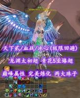 【天下贰/血战/冰心（极限回避念医）】极限回避！龙渊太初翅！青花+5至臻翅！两大珠子——丷语诺乀