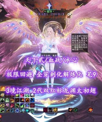 【天下贰/血战/冰心】极限回避！全穿刺化解炼化！笔9！3境江湖！2代双红标龙渊太初翅+多至臻翅+顶奢耀世神临时装等——丷雪荇丶