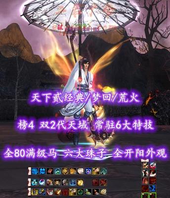 【天下贰经典/梦回/荒火（会心）】榜4荒火！双2代天域！常驻6大特技！全80满级马！六大珠子！全开阳外观——丷开伈乀