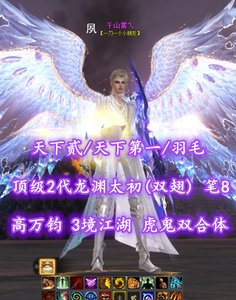 【天下贰/天下第一/羽毛（大攻重）】顶级2代龙渊太初（双翅）！高万钧！笔8！3境江湖！虎鬼双合体！——千山雾乀