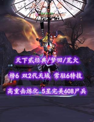 【天下贰经典/梦回/荒火】榜6荒火！双2代天域！常驻6特技！高重击炼化！5星完美608尸兵——西瓜真好吃丶