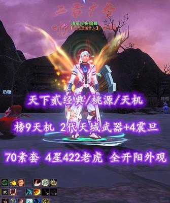 【天下贰经典/桃源/天机（会心）】榜9天机！2代天域武器+4震旦+70素套！4星422老虎！全“开阳”外观——清風半夜鳴蝉