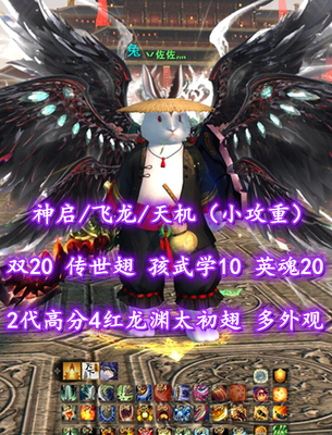 【神启/飞龙/天机（小攻重）】双20！传世翅+孩武学10+英魂20！2代高分4红龙渊太初翅+双土豪马+月下时装——丷佐佐灬