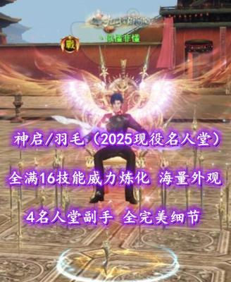 【神启/羽毛（25现役名人堂）】2025现役名人堂！全满16技能威力炼化！4名人堂副手——丶似懂非懂