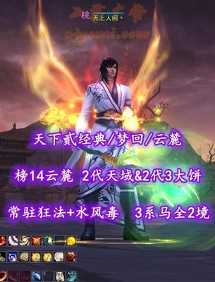【天下贰经典/梦回/云麓】榜14云麓！2代天域&2代3大饼！常驻“狂法+水风毒”特技！3系80马全2境界——天上人间丶