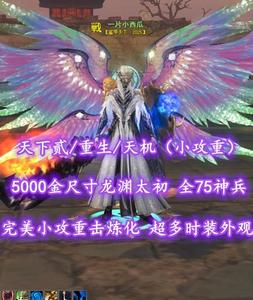 【天下贰/重生/天机（小攻重）】5000金尺寸龙渊太初！全75神兵！完美小攻重击炼化——一片小西瓜