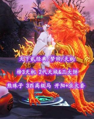 【天下贰经典/梦回/天机】榜3天机！72级！2代天域&三大饼！熊珠子！3匹高级马！开阳+业火套——豹哥