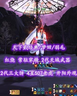 【天下贰经典/梦回/羽毛】红烧！常驻穿精！2代天域武器&2代三大饼！4星507老虎！开阳外观全——飞奔吧丶菊花