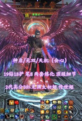 【神启/无双/天机（会心）】19钻18护！神来笔8！两套炼化！顶级细节！2代高分3红龙渊太初翅+传世翅+绝版月下＆5款神临时装——累累的丷