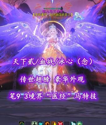 【天下贰/血战/冰心（念）】笔9！3境界“医经”马特技！传世翅膀！豪华外观——笔九马三传世