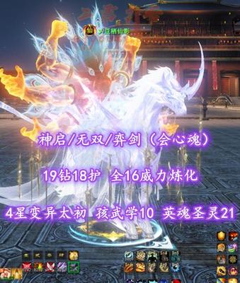 【神启/无双/弈剑（会心魂）】19钻18护！全16威力炼化！4星变异太初！孩武学10！英魂圣灵21！2代高分6000红标尺寸太初翅+顶奢1代环神等超多外观——乄豆栖仙影