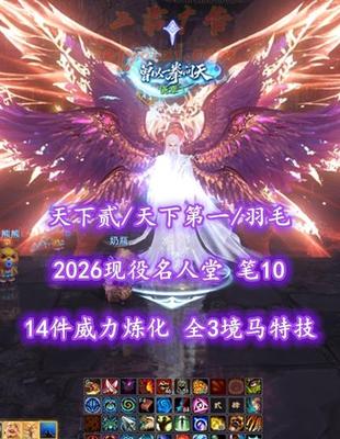 【天下贰/天下第一/羽毛（大攻重）】2026现役名人堂！笔10！14件威力炼化！全3境马特技+3境江湖！2代高分4红龙渊太初翅+传世翅+3神龙+3土豪马等豪华外观——侥幸乀