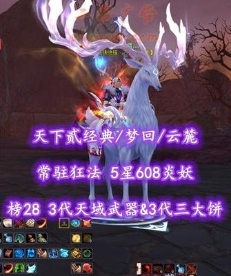 【天下贰经典/梦回/云麓（重击）】榜28云麓！74级！3代天域武器&3代三大饼！常驻狂法！5星608炎妖！3系全2境界高级马！“开阳+业火”外观——乄冷月飘霜灬
